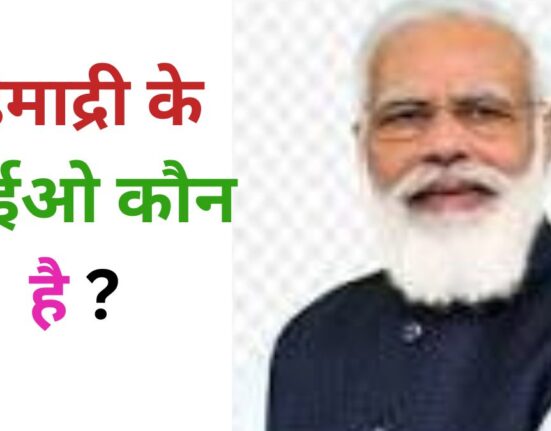हिमाद्री के सीईओ कौन है ?