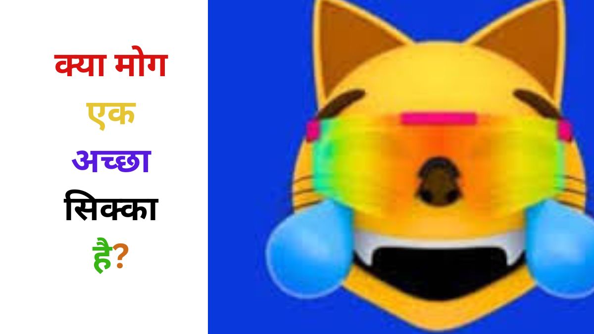 क्या मोग एक अच्छा सिक्का है?